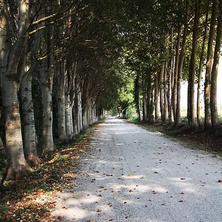 Farm stay La Restera *